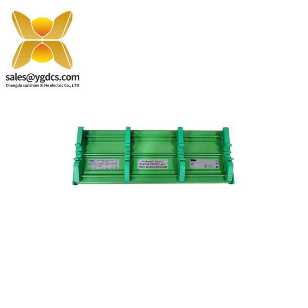 ICS Triplex T8800C 數(shù)字輸入模塊FTA，工業(yè)自動(dòng)化控制系統(tǒng)專用
